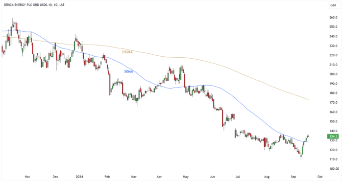 SQZ Daily Candle Chart