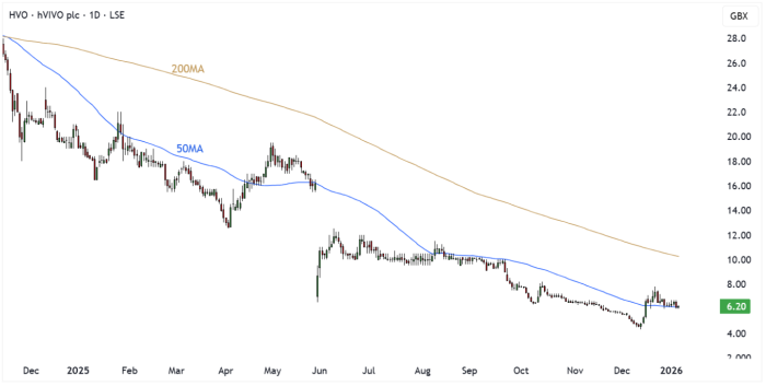HVO Daily Candle Chart