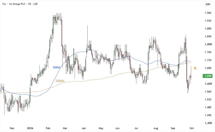 YU. Daily Candle Chart